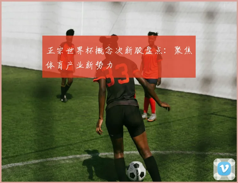 正宗世界杯概念次新股盘点：聚焦体育产业新势力