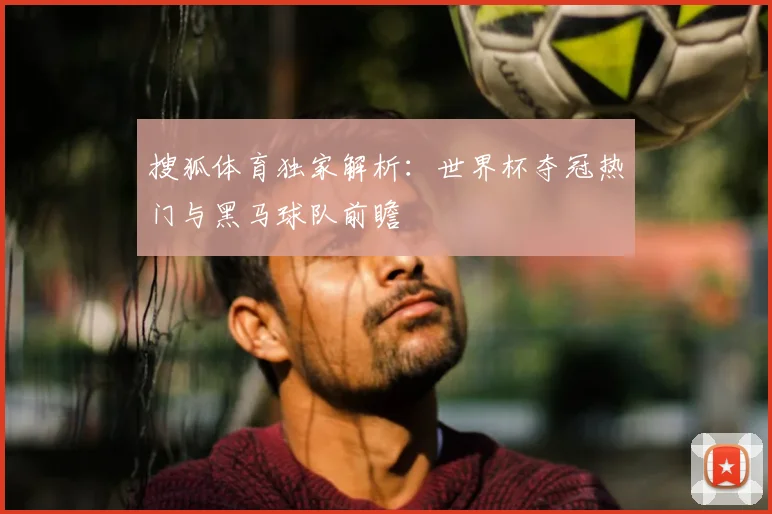 搜狐体育独家解析：世界杯夺冠热门与黑马球队前瞻
